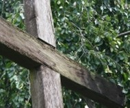 Am Ewigkeitssonntag wird der Verstorbenen gedacht.